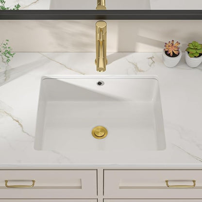 Dcolora 19x15 In. Undermount Bathroom Sink, Rectangular Fireclay White Ceramic Porcelain Lavatory Vanity Bath Sink Under Counter Vessel Sink, Farmhouse Style #DC-UVS2538004