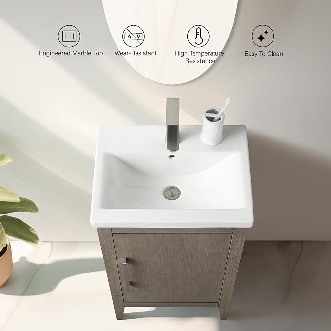 Vanity Art 20 inch Bathroom Vanity with Single Sink & Ceramic Top, Vanity Cabinet with Soft-Closing Doors, Solid Wood Frame, Driftwood Gray, VA9020-DG-GB1