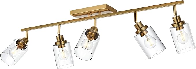 MELUCEE 5-Light Track Lighting Kit Brass Semi Flush Mount Ceiling Light Fixture with 5 Rotatable Light Heads, Modern Accent Lighting for Foyer Art Wall Kitchen, Clear Glass Shade