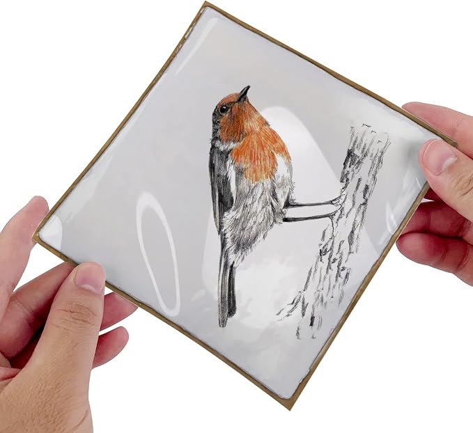 Alwayspon Vinyl Sticker Peel and Stick, Self-Adhesive Wall Tile Transfers Backsplash Sticker Decal for Kitchen Bathroom, 6x6inch/15x15cm 10Pcs, Birds T032