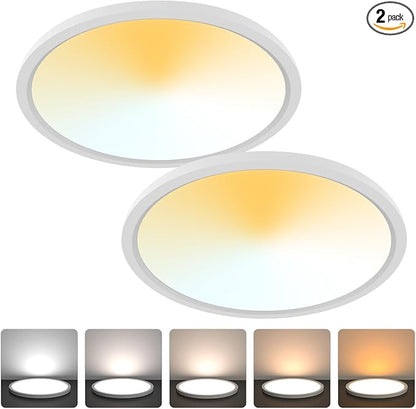 Aialun 16/20/24W Led Ceiling Lights Flush Mount, 0.67" Super Slim 12 Inch Ceiling Lights Dimmable, 2700K-6500K 5 Color Selectable Close to Ceiling Light fixtures for Bathroom, Kitchen, Hallway, 2 Pack