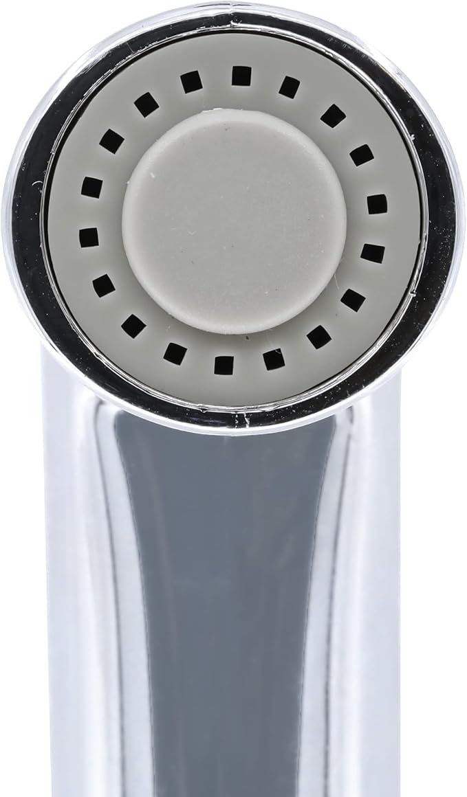 Danco 88760 Universal Fit Sink Spray Head, Chrome
