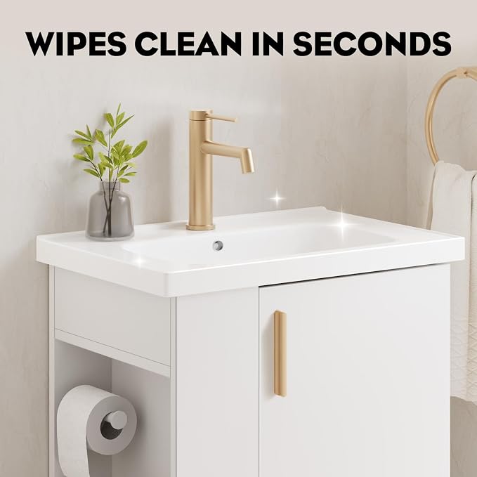 20 Inch White Pre-Assembled Small Bathroom Vanity Cabinet with Ceramic Sink, Soft-Close Door, Left Side Storage, Space-Saving Design, No Faucet,BV05-20-WHITE-PLUS