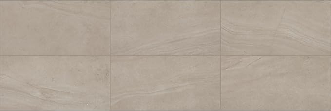 Daltile Wanderwise 12 x 24 Glazed Porcelain Floor Tile (9 PC Per Carton) (17.60 SQFT Per Carton)