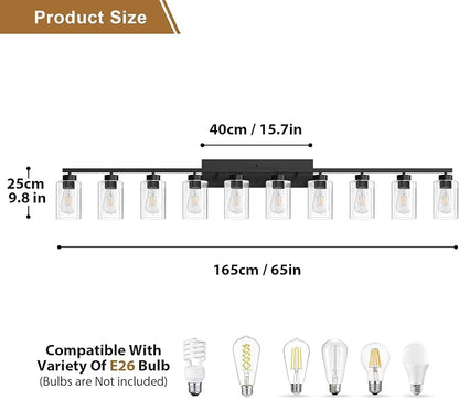 IZORRO Modern Bathroom Light Fixtures, 10 Light Black Vanity Lights, Bathroom Lighting Fixtures Over Mirror with Clear Glass for Living Room Cabinet Bedroom