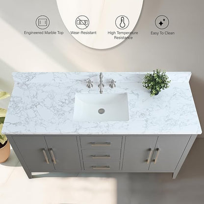 Vanity Art 60 inch Bathroom Vanity with Single Sink & Ceramic Top, Vanity Cabinet with Soft-Closing Doors, Drawers, Solid Wood Frame, Cashmere Gray, VA9060-SG-BN1