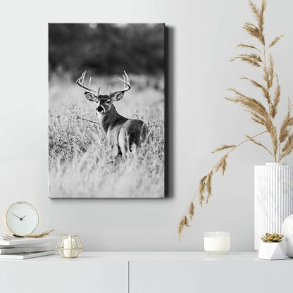 Renditions Gallery Canvas Animal Wall Art Home Modern Decorations Paintings Vintage Scared Deer Black & White Canvas Wall Hanging Artwork Prints for Bedroom Living Room Office - 24"x36" LT02