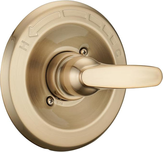 Shower Trim Kit Replacement for 13/14 Series, Shower Cover Plate with Handle fit Champagn Gold, Shower Cover Plate with Handle (Valve& Catridge Not Inclued)