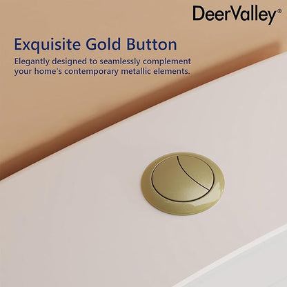 DeerValley Elongated One-Piece Toilet with Standard Height 1.1/1.6 Dual Flush Toilets with Soft Closing Seat and Gold Button