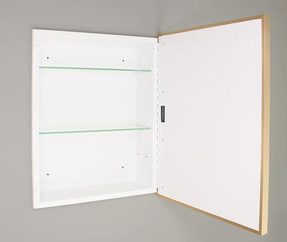 Fox Hollow Furnishings 16x20 Parker Metro Metal Framed Rectangle Recessed Bathroom Medicine Cabinet, Floating Mirror, 14x24 in-Wall Opening, Steel, Adjustable Glass Shelves, Magnet Close, Gold