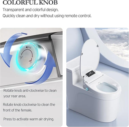 Electric Bidet Toilet Seat with Remote, Heated Toilet Seat, Instant Warm Water, Warm Air Dryer, Rear & Feminine with Oscillating Cleansing, Night Light, Slow Close Lid, LED Display - Round