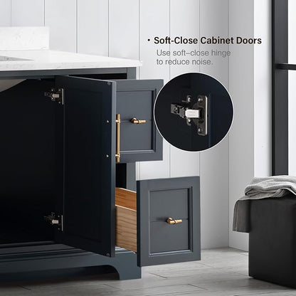 Vanity Art 48 Inch Single Sink Bathroom Vanity with Stone Top | Undermount Rectangular Sink Cabinet Soft Closing Doors, Dovetailed Drawers, No Mirror VA5048-VSB
