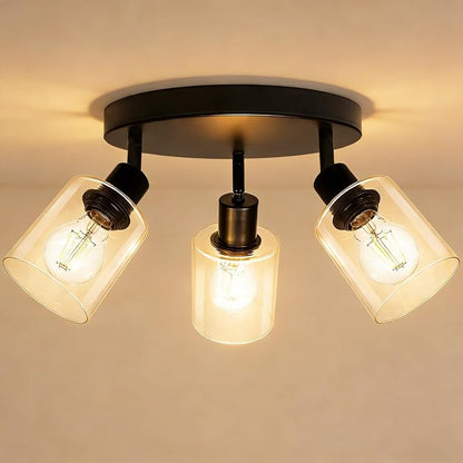 HiBay 3-Light Track Lighting Fixtures Ceiling Glass Directional Spotlight | Round 3 Heads with Glass Shades, Black Farmhouse Industrial, for Dining Area, Entryway, Closet, E26 Base