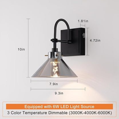 Modern Glass Gooseneck Wall Sconce, Dimmable Hardwired Vanity Light with Switch, Farmhouse Lamp for Bathroom Mirror Living Room Bedroom Kitchen