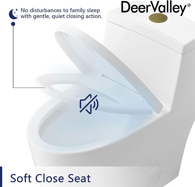 DeerValley Elongated One-Piece Toilet with Standard Height 1.1/1.6 Dual Flush Toilets with Soft Closing Seat and Gold Button