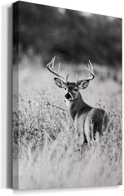 Renditions Gallery Canvas Animal Wall Art Home Modern Decorations Paintings Vintage Scared Deer Black & White Canvas Wall Hanging Artwork Prints for Bedroom Living Room Office - 24"x36" LT02