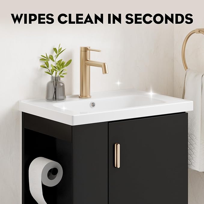phiestina Pre-Assembled 20 Inch Floating Bathroom Vanity for Small Space, Wall-Mounted Black Cabinet with Ceramic Sink, Soft-Close Door, Left Side Storage, No Faucet,BV04-20-PUREBLACK-PLUS