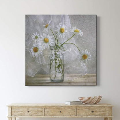 Renditions Gallery Daisies Wall Art, Premium Gallery Wrapped Canvas Decor, Ready to Hang, 32 in H x 32 in W, Made in America Print