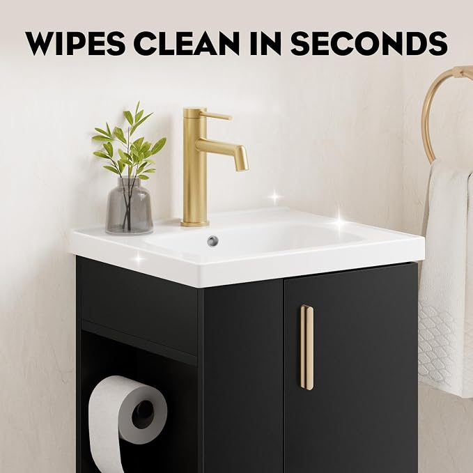 Pre-Assembled 16 Inch Black Small Bathroom Vanity, Freestanding Bathroom Cabinet with Ceramic Sink, Soft-Close Door, Left Side Storage, No Faucet, BV05-16-PUREBLACK-PLUS