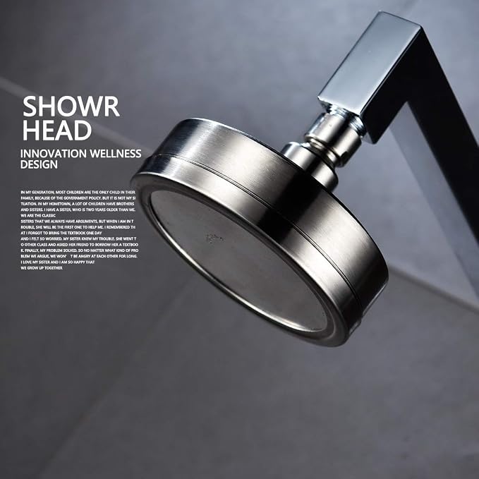 CIENCIA High Pressure Shower Head Stainless Steel Overhead Shower Head 4.6″ Anti-clog Fixed Showerhead Brushed Nickel, BD141AS