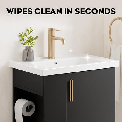 20 Inch Black Freestanding Bathroom Vanity, Pre-Assembled Bathroom Cabinet with Ceramic Sink, Soft-Close Door, Left Side Storage, Fit for Small Bathrooms, No Faucet, BV05-20-PUREBLACK-PLUS