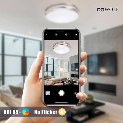 12inch LED Flush Mount Ceiling Light Fixture Dimmable Brushed Nickel, Easy Install Ceiling Lamp Fixture Without Flicker, Super Bright 36W 3600LM 5CCT Warm to White Light 3000K to 6000K 2-Pack