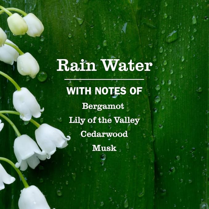 MRS. MEYER'S CLEAN DAY Hand Soap, Rain Water Scent, 12.5 Fl Oz Bottle