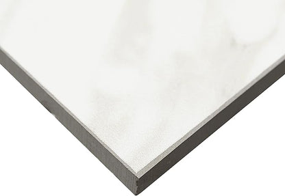 Daltile Perpetuo 24" X 24" Porcelain Marble Look Floor Tile in Matte Timeless White (4 pieces per carton) (15.20 sqft per carton)