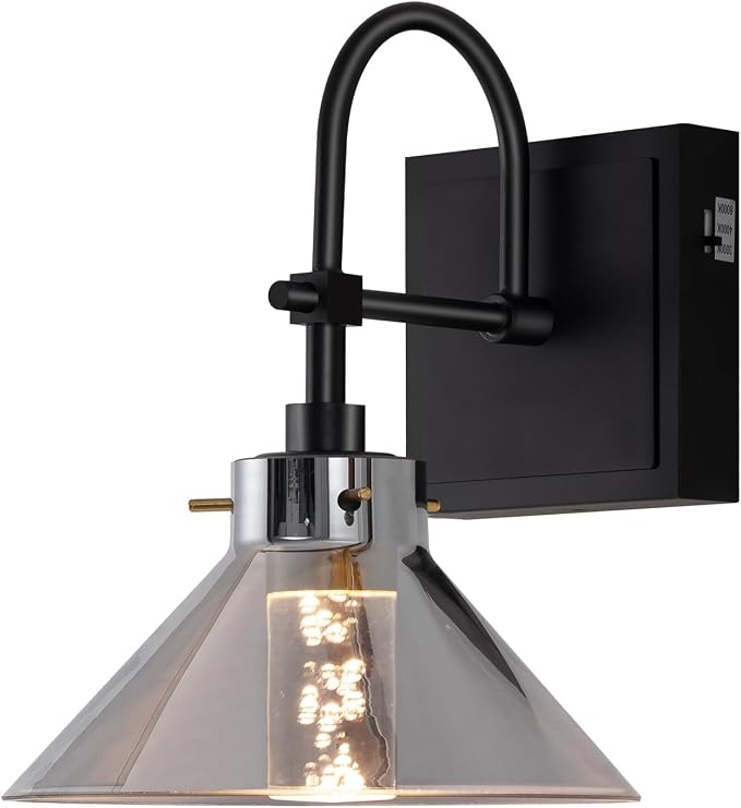 Modern Glass Gooseneck Wall Sconce, Dimmable Hardwired Vanity Light with Switch, Farmhouse Lamp for Bathroom Mirror Living Room Bedroom Kitchen