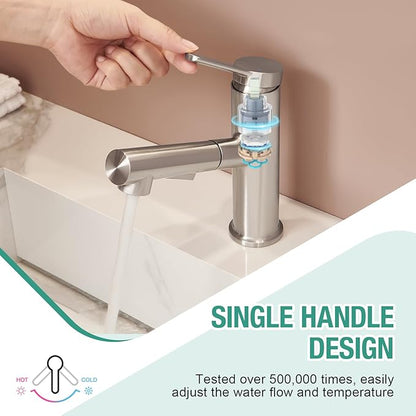 Faustina Single Hole Bathroom Faucet with Pull Out Sprayer, Brushed Finish Bathroom Sink Faucet for Vanity or Laundry, Stainless Steel 1 Handle with Deck Plate for 1 or 3 Hole