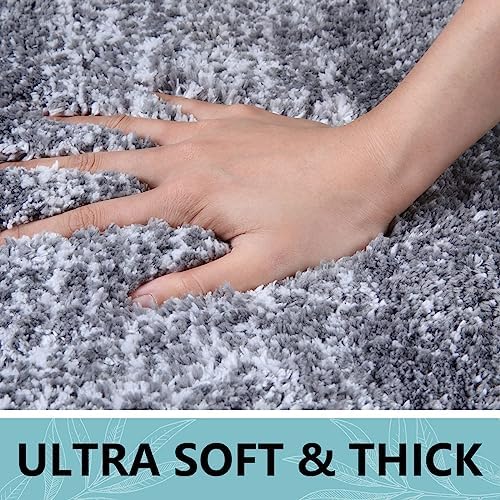 Arotive Microfiber Bathroom Rugs, Shaggy Soft Absorbent Bath Rug, 47x20