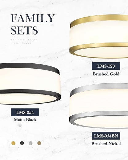 24W LED Flush Mount Ceiling Light, 15 inch 3CCT 3000K/4000K/5000K, Brushed Gold Close to Ceiling Light for Bathroom, Kitchen, Living Room, LMS-190