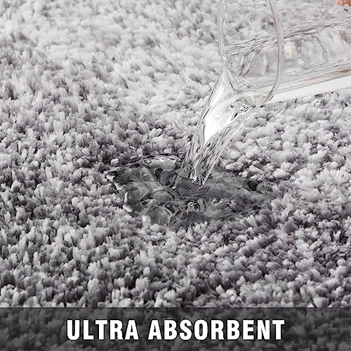 TECHMILLY Super Soft Shaggy Bathroom Rugs, Absorbent Thick Non Slip Microfiber Bath Rugs, Quick Dry Machine Washable Bath Mat for Bathroom Floor, Bathtub and Shower 17"x24"