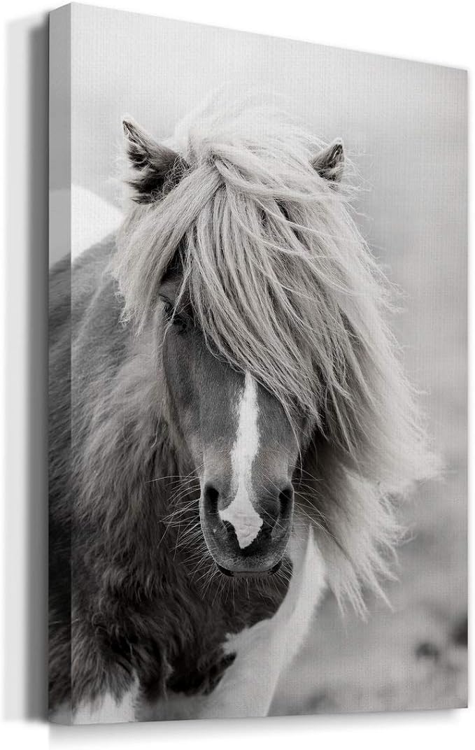 Renditions Gallery Animal Canvas Wall Art Home Paintings & Prints Rustic Vintage Horse Modern Decorations Black & White Wall Hanging Artwork for Bedroom Office Home Kitchen - 12"x18" LT02