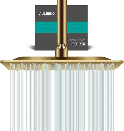 Square Rain Shower Head, High Flow Stainless Steel,Work with any decorative style，All Metal Rainfall Shower Head (Brushed Gold, 10)