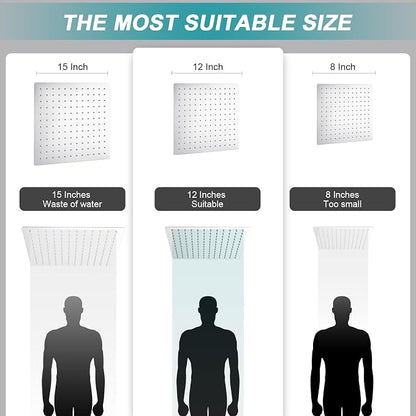 Rainfall Shower Head,12 Inch Rain High Pressure Shower Head with Spray Combo,14 Inch Adjustable Extension Arm and 3 Spray Filtered Shower Head with Filters,79 Inch Long Shower Hose, Silver Chrome