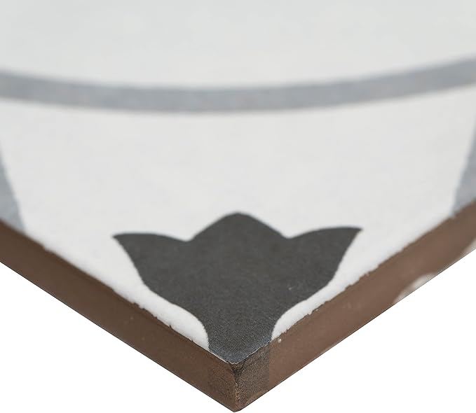 MSI Tanzania Encaustic 8 in. x 8 in. Sample Porcelain Wall Tile for Bathroom, Floor and Kitchen Backsplash