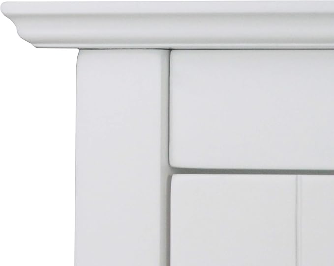 Elegant Home Fashions Connor Floor Cabinet with 2 Glass Doors | Adjustable Shelf