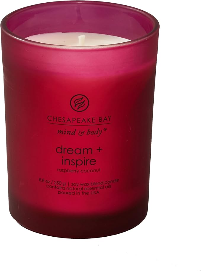Chesapeake Bay Candle PT41689 Candle Medium Jar Dream & Inspire Home Décor, 8.8oz (Pack of 4)