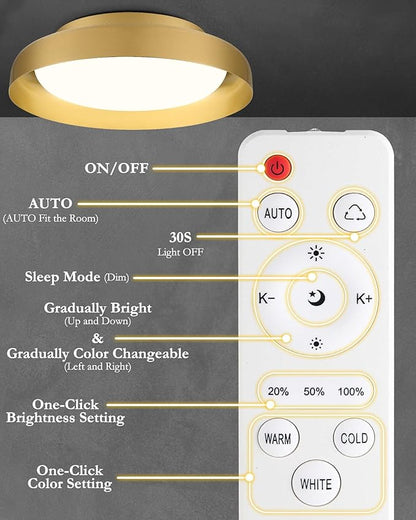 Ken & Ricky Flush Mount Ceiling Light Fixture, Led Dimmable 24w for Bedroom Kitchen Bathroom Laundry Hallway Entryway,Remote Control (Brushed Gold,12Inch,1PK)