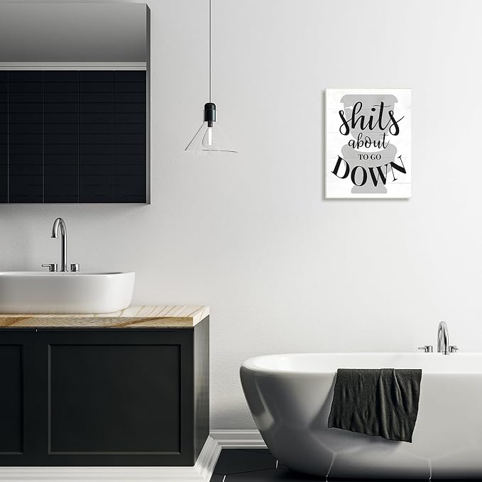 'About To Go Down Funny Bathroom Family Home'| Wall Plaque Art | Stupell Industries | 13 x 19 Inches, Easy to Hang and Sturdy, Made in USA, by Lil' Rue