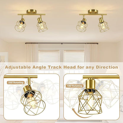 Baocuz 2-Lights Kitchen Track Lighting Ceiling, Adjustable Multi-Directional Gold Ceiling Light Fixtures, Rotatable Farmhouse Light Fixtures Ceiling Mount with Metal Cage for Dining Room, Living Room