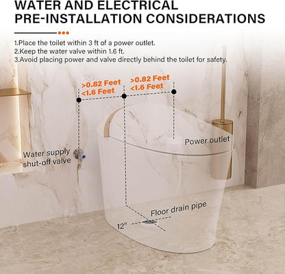 DeerValley Smart Toilet with Bidet Built In, Tankless Toilet with Heated Bidet Seat, Auto Flush, Warm Water & Dryer, Deodorization, and Remote Control