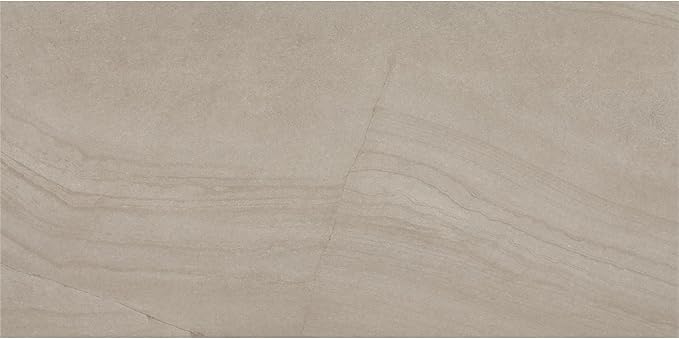 Daltile Wanderwise 12 x 24 Glazed Porcelain Floor Tile (9 PC Per Carton) (17.60 SQFT Per Carton)