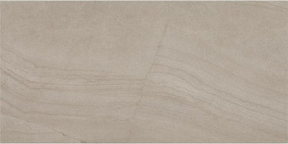 Daltile Wanderwise 12 x 24 Glazed Porcelain Floor Tile (9 PC Per Carton) (17.60 SQFT Per Carton)