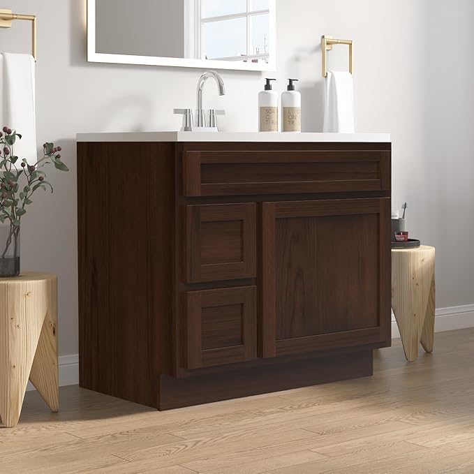 Vanity Art 36 Inch Single Shutter Door Bathroom Vanity Base Cabinet with 2 Functioning Shaker Drawers, Strudy Floor Mount Storage Cabinet Organizer for Bedroom, Living Room, Kitchen, VA4036-2LB
