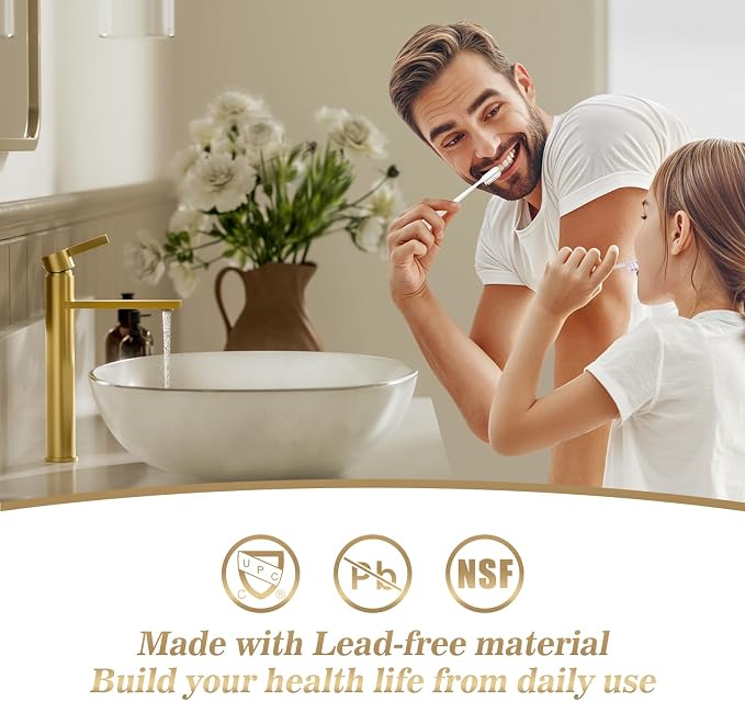 1 Hole Tall Bathroom Vessel Sink Faucet, Brushed Gold Single Hole Single Handle Vanity Faucet, with Pop Up Drain and Water Supply Line, FH02-BG-V