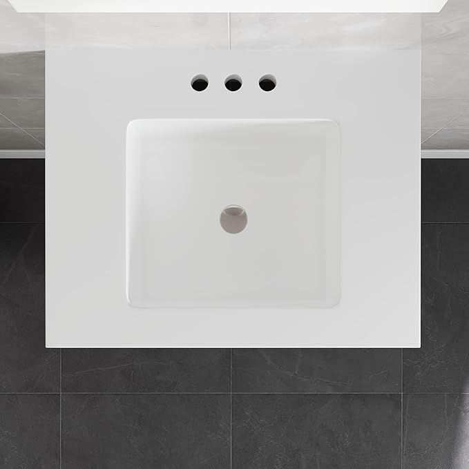 Eviva Cambridge 24 in. White Single Sink Bath Vanity with Quartz Top and Undermount Porcelain Sink