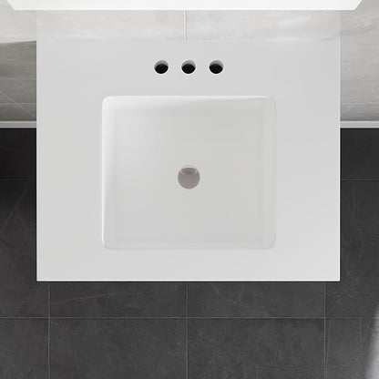 Eviva Cambridge 24 in. White Single Sink Bath Vanity with Quartz Top and Undermount Porcelain Sink