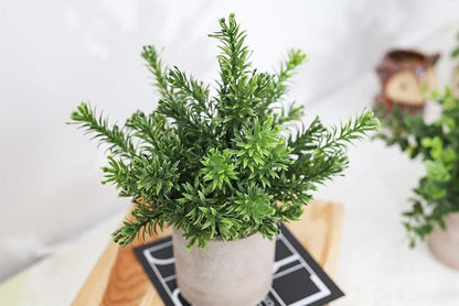 Der Rose 3 Pack Fake Plants Mini Faux Plants for Shelf Classroom Decor | Green eucalyptus, eco-friendly paper pulp pot, adjustable stems, pet child safe, office desk kitchen bathroom decor